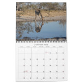 AFRICAN PHOTO SAFARI - BOTSWANA & SOUTH AFRICA KALENDER (Jan 2026)