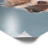 African Pigmy Hedgehog Poster (Ecke)