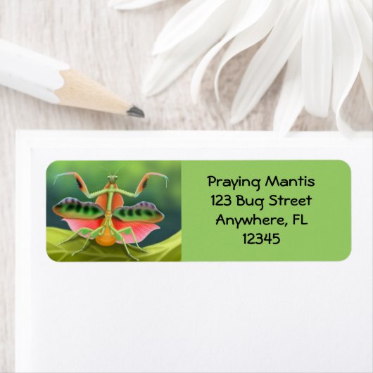 African Praying Mantis Label (Insitu)
