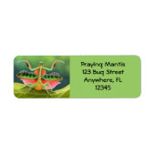 African Praying Mantis Label (Vorne)