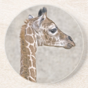 African Prince Untersetzer