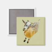 African Pygmy Goat Magnet (Vorderseite/Rückseite)