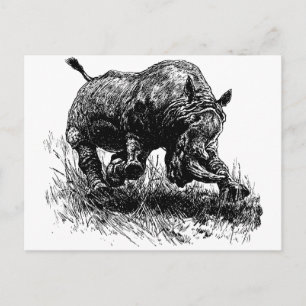 African Rhino Postkarte