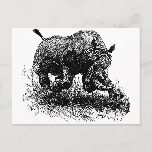 African Rhino Postkarte (Vorderseite)