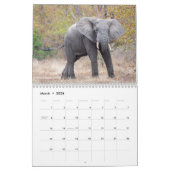 African Safari 2023 Calendar Kalender (Mär 2026)