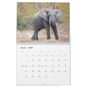 African Safari 2023 Calendar Kalender (Mär 2027)