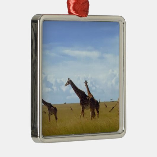 African Safari Giraffe: Kenya National Park Silbernes Ornament (Rechts)