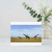 African Safari Giraffes Postkarte (Stehend Vorderseite)