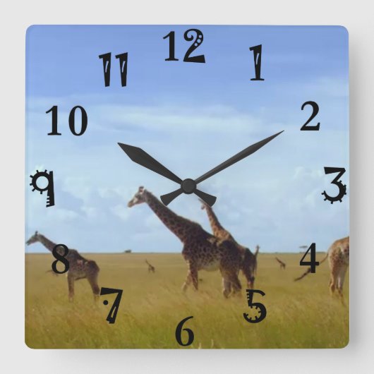 African Safari Giraffes Quadratische Wanduhr (Vorderseite)