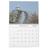 AFRICAN SAFARI KALENDER (Feb 2027)