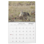 AFRICAN SAFARI KALENDER (Mär 2027)