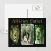African Safari Postkarte (Vorne/Hinten)