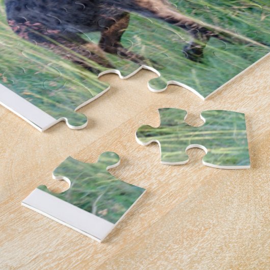 African Safari Puzzle (Seite)