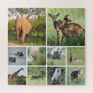 African Safari Puzzle