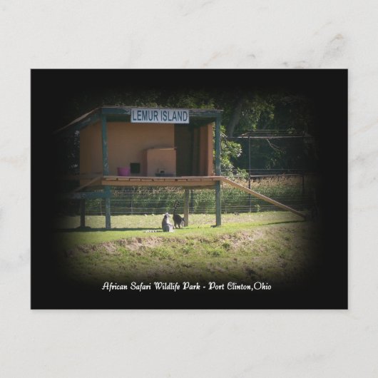 African Safari Wildlife Park Lemur Postkarte (Vorderseite)