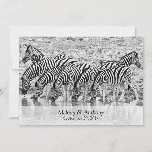 African Safari Zebra Wedding Einladung (Vorderseite)