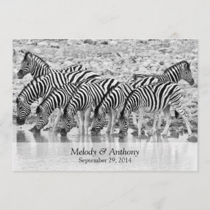 African Safari Zebra Wedding Einladung