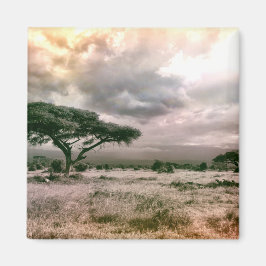 African Sahara Serengeti Savannah National Park Magnet