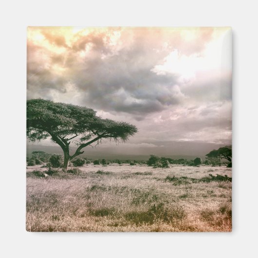 African Sahara Serengeti Savannah National Park Magnet (Vorne)