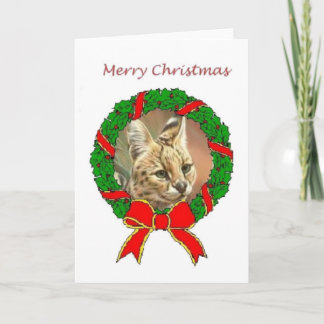 African Serval Weihnachtskarte Feiertagskarte
