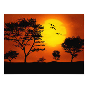 African Sunset Fotodruck