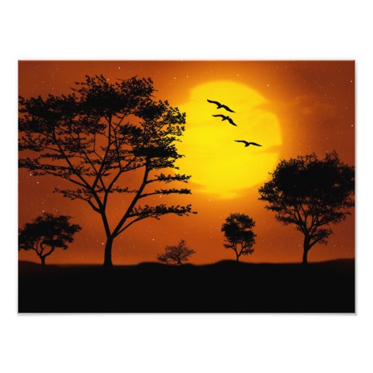 African Sunset Fotodruck (Vorne)