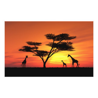 African Sunset Fotodruck