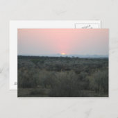 African Sunset Postcard Postkarte (Vorne/Hinten)