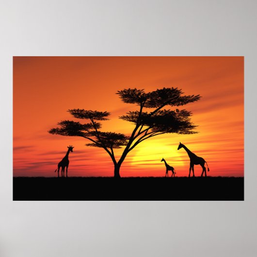African Sunset Poster (Vorne)