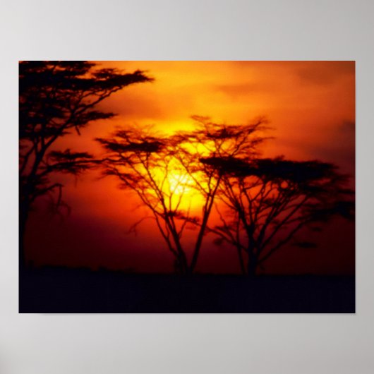 African Sunset Poster (Vorne)