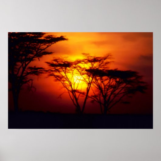 African Sunset Poster (Vorne)