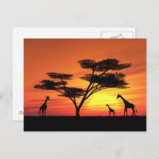 African Sunset Postkarte (Vorne/Hinten)