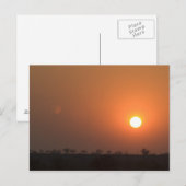 African Sunset Postkarte (Vorne/Hinten)