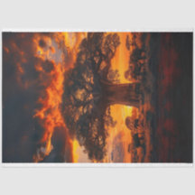 African Sunset Tree Elephant Decoupage