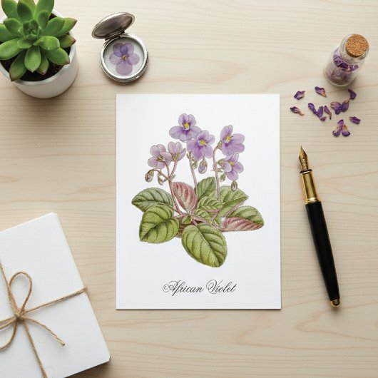 African Violet Curtis Botanical Postkarte