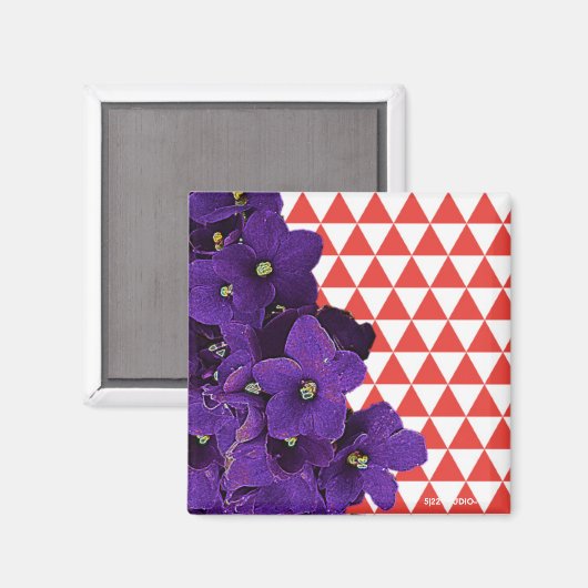 African Violet Red Pyramid Magnet (Vorderseite/Rückseite)