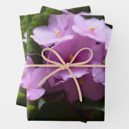 African Violet Saintpaulia - Rosa Blume Geschenkpapier Set