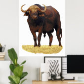 African Water Buffalo Poster 32 x 40" (Heimbüro)