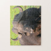 African Water Buffalo. Puzzle (Vertikal)