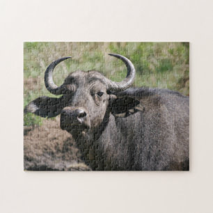 African Water Buffalo Puzzle
