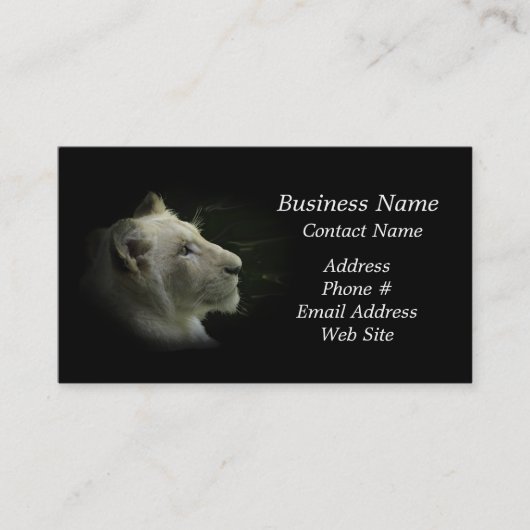 African White Lion Big Cat Wildlife Business Card Visitenkarte (Vorderseite)