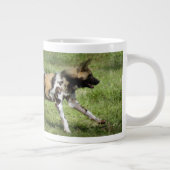 african-wild-dog-004 Jumbo-Tasse (Rechts)
