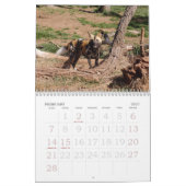 african-wild-dog-012, afrikanischer wilder Hund Kalender (Feb 2027)