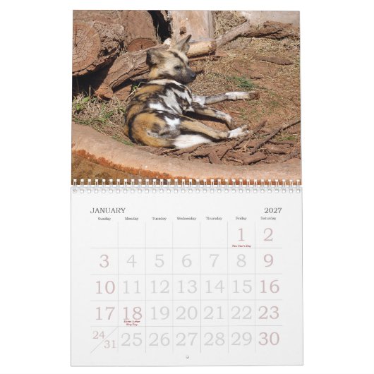african-wild-dog-012, afrikanischer wilder Hund Kalender (Jan 2027)