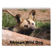 african-wild-dog-012, afrikanischer wilder Hund Kalender (Titelbild)