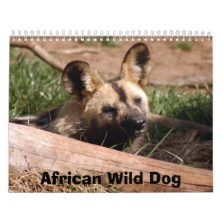african-wild-dog-012, afrikanischer wilder Hund Kalender