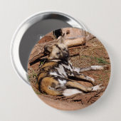 african-wild-dog-018 button (Vorne & Hinten)