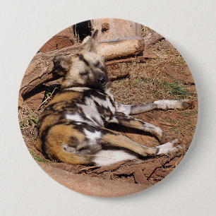 african-wild-dog-018 button