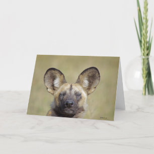 African Wild Dog Grußkarte Karte