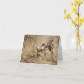 AFRICAN WILD DOG KARTE (Gelbe Blume)